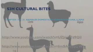 S3H Cultural Bites