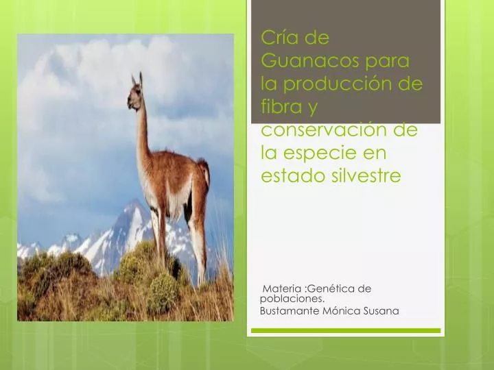 cr a de guanacos para la producci n de fibra y conservaci n de la especie en estado silvestre