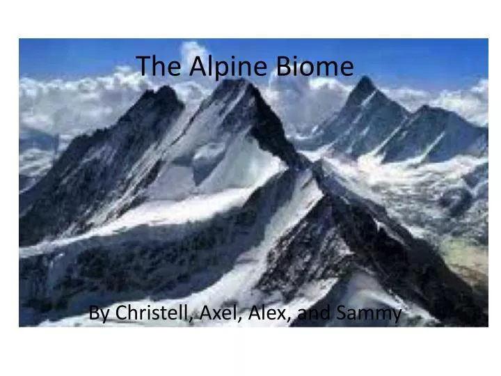 the alpine biome