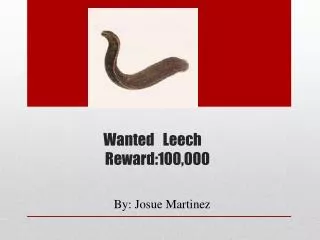 Wanted Leech 					 Reward:100,000