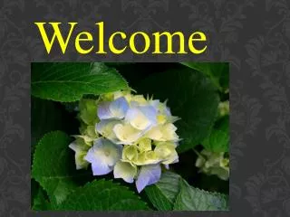 Welcome