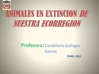 animales en extincion de nuestra ecorregion