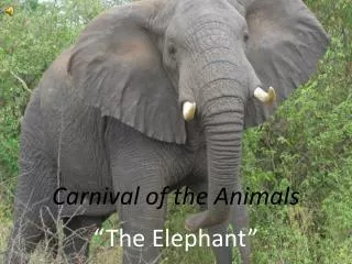 Carnival of the Animals