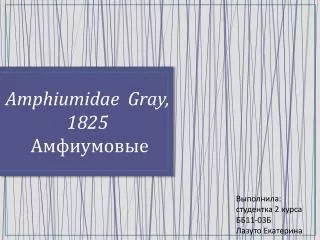 Amphiumidae Gray, 1825 Амфиумовые