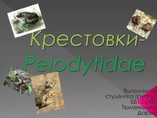 pelodytidae