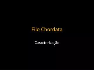 filo chordata