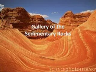 Gallery of the Sedimentary Rocks