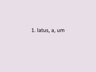 1. latus , a, um