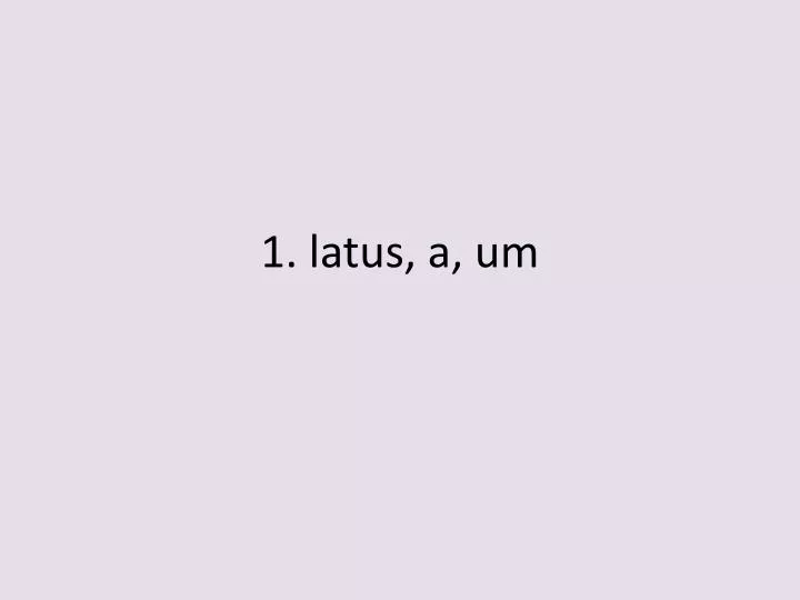 1 latus a um