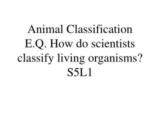 Animal Classification E.Q. How do scientists classify living organisms? S5L1