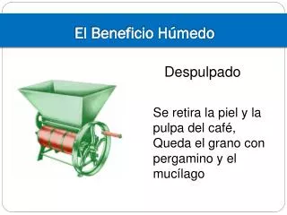 el beneficio h medo