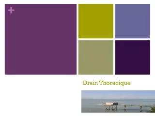 drain thoracique