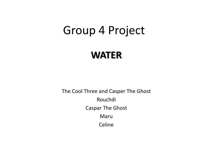 group 4 project