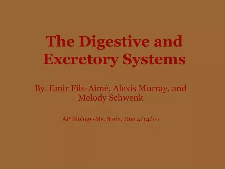 the digestive and excretory systems