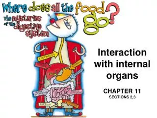 Interaction with internal organs