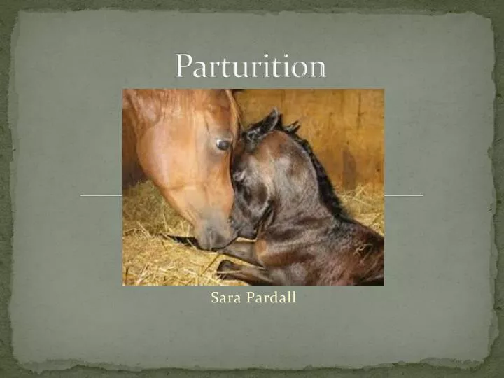parturition