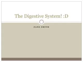 The Digestive System! :D