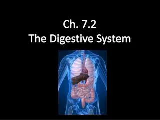 Ch. 7.2 The Digestive System