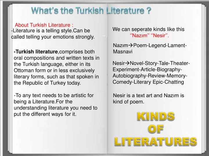 what s the turkish literature