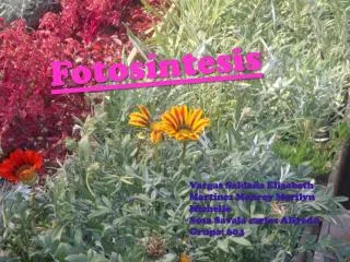 fotosintesis