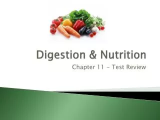 Digestion &amp; Nutrition