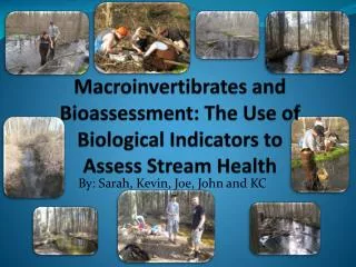 Macroinvertibrates and Bioassessment: The Use of Biological Indicators to Assess S tream Health