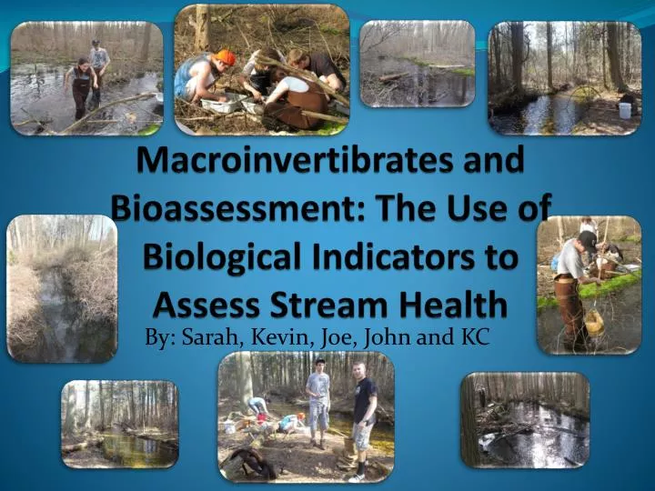 macroinvertibrates and bioassessment the use of biological indicators to assess s tream health