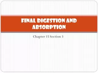 Final Digestion and Absorption