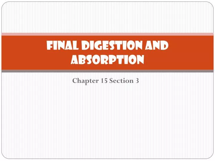 final digestion and absorption