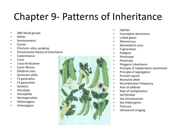 chapter 9 patterns of inheritance