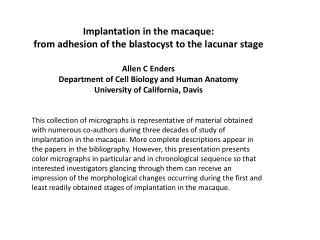Implantation in the macaque: from adhesion of the blastocyst to the lacunar stage