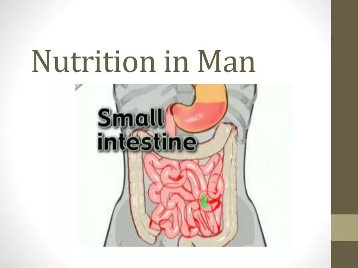 nutrition in man