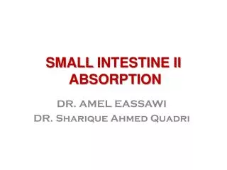 SMALL INTESTINE II ABSORPTION