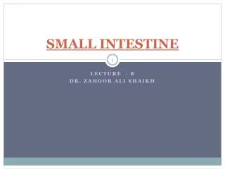 SMALL INTESTINE