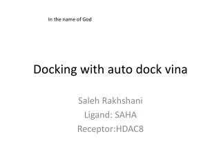 Docking with auto dock vina