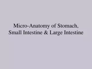 Micro-Anatomy of Stomach, Small Intestine &amp; Large Intestine