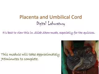 Placenta and Umbilical Cord Digital Laboratory