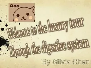 Welcome to the luxury tour Through the digestive system