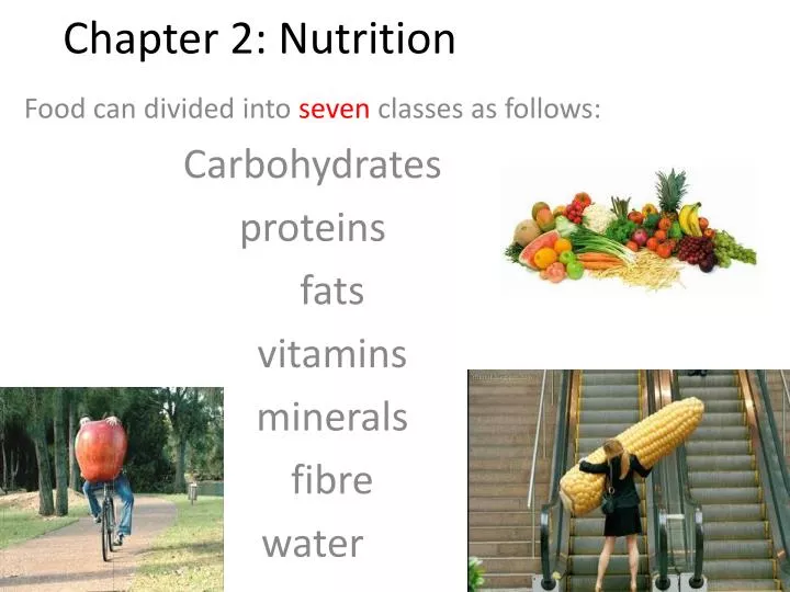 chapter 2 nutrition