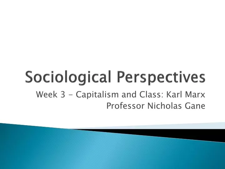 sociological perspectives