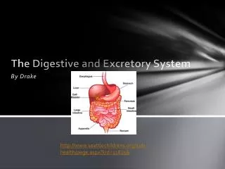 The Digestive and E xcretory System