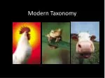Modern Taxonomy - slide 1