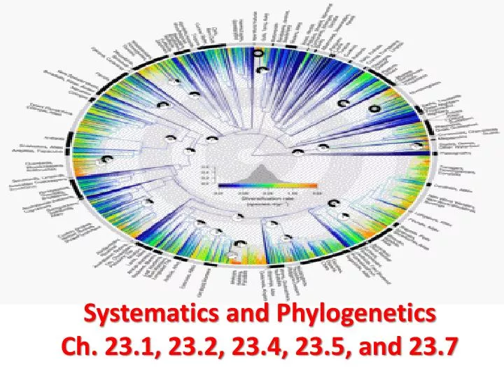 systematics and phylogenetics ch 23 1 23 2 23 4 23 5 and 23 7