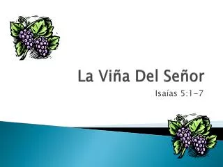 la vi a del se or