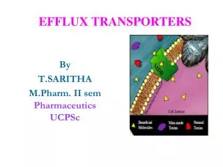 EFFLUX TRANSPORTERS