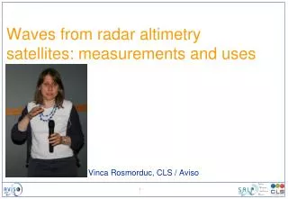 Waves from radar altimetry satellites: measurements and uses