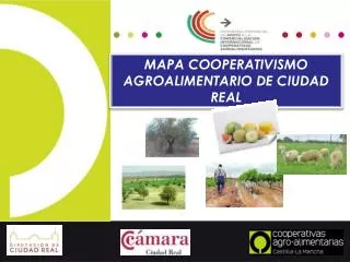 MAPA COOPERATIVISMO AGROALIMENTARIO DE CIUDAD REAL