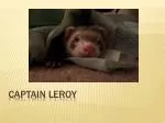 Captain Leroy - slide 1