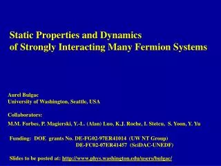 Static Properties and Dynamics of Strongly Interacting Many Fermion Systems