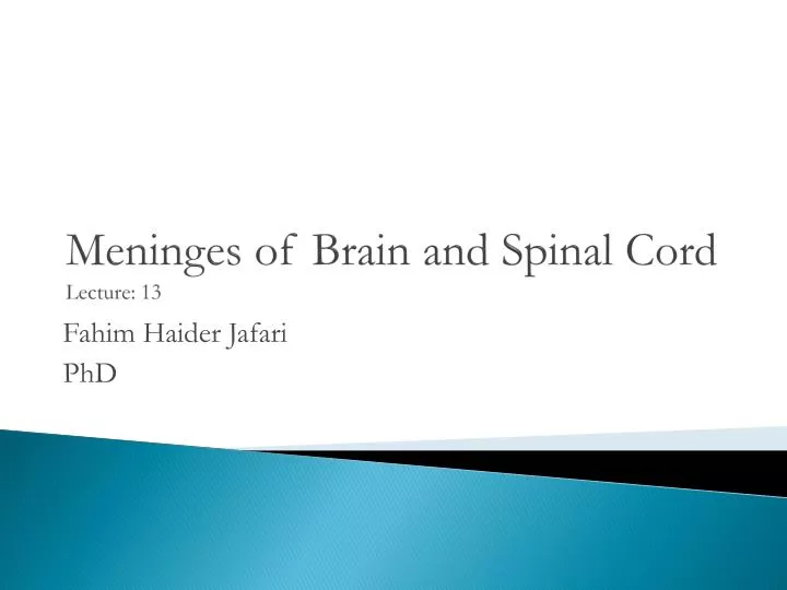 meninges of brain and spinal cord lecture 13